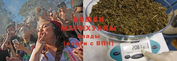шишки Алзамай