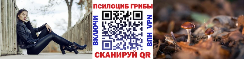 Псилоцибиновые грибы GOLDEN TEACHER Сысерть